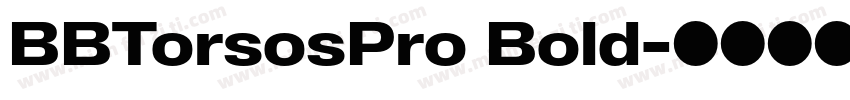 BBTorsosPro Bold字体转换